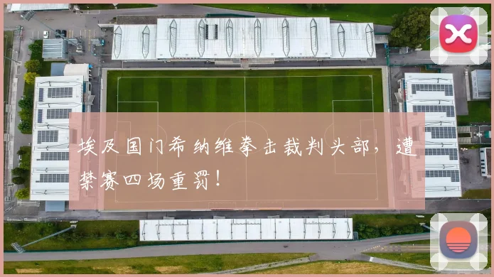 埃及国门希纳维拳击裁判头部，遭禁赛四场重罚！