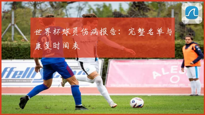 世界杯球员伤病报告：完整名单与康复时间表